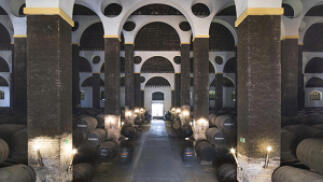 Visita guiada a Bodegas Barbadillo + degustación de vinos